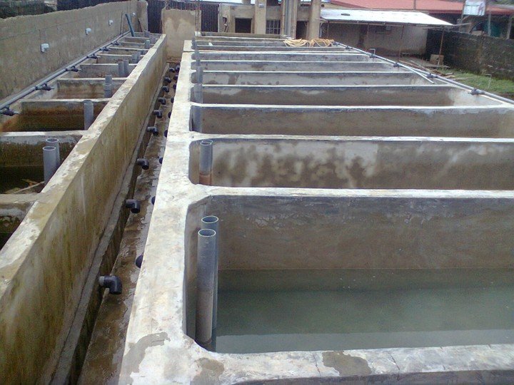 Fish Pond Design And Construction Guidelines - NaijNaira